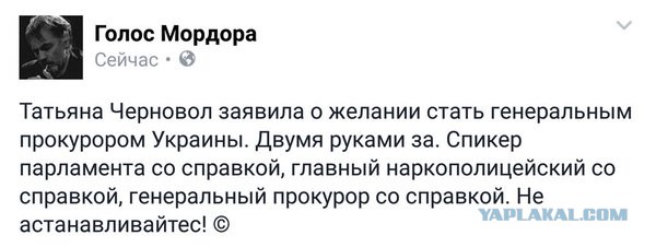Фото Натальи Поклонской в штатском