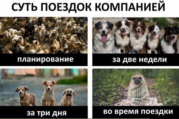 Подборка смешных картинок с надписями