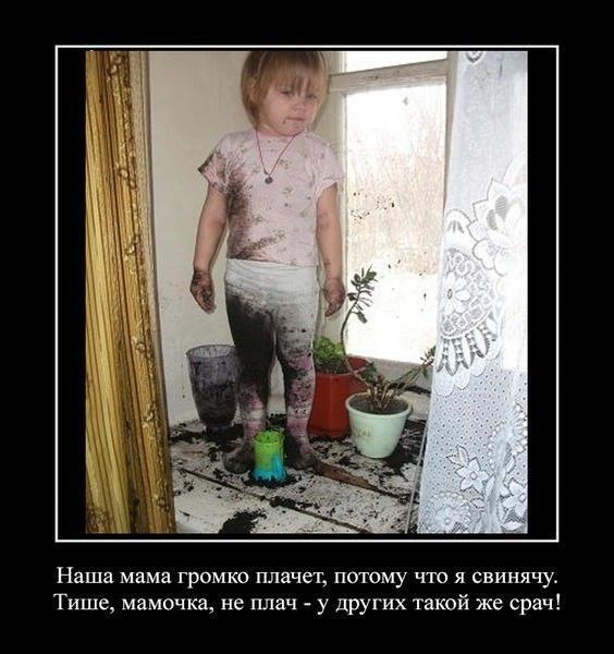 Картинки из сети