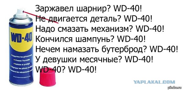 Фотограф вручил 19-месячному сыну свой старый фотоаппарат и вот что из этого вышло