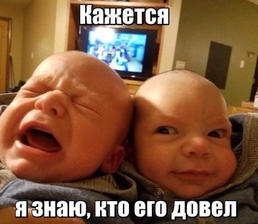 Подборка безудержного веселья