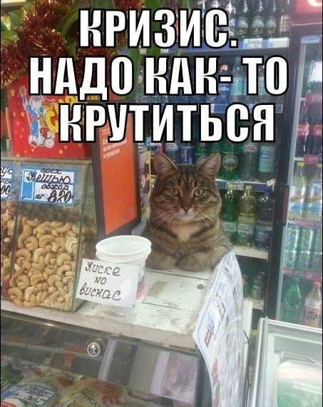 Подборка безудержного веселья