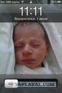 Волшебные грибочки