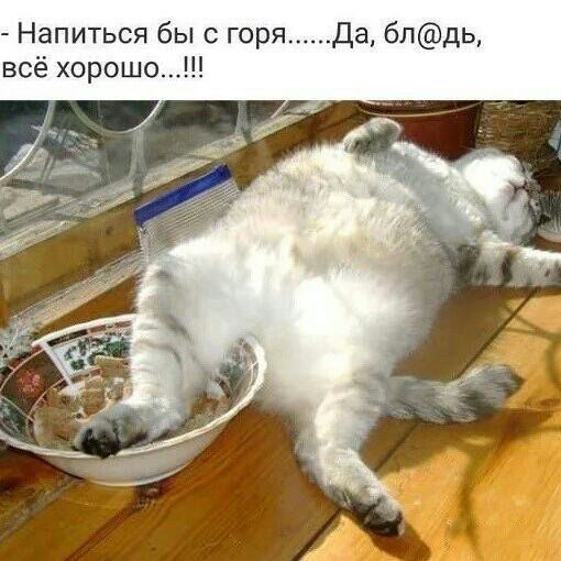 Картинки для тех, кто пахал и устал
