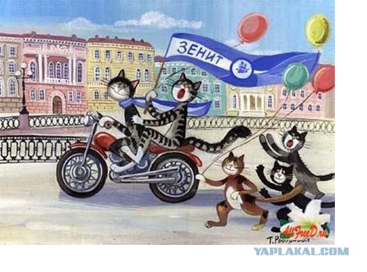 Беседка ФиС ЯПа 6