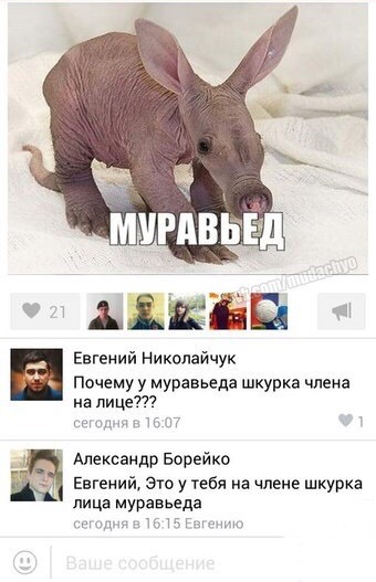 Не очень адекватный юмор