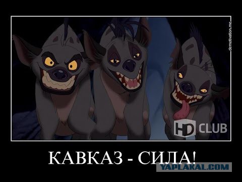 Лев Против - 07.09.2018. Снова нападение активистов
