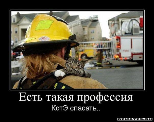 Пожарная операция "Спасение котэ" прошла успешно!