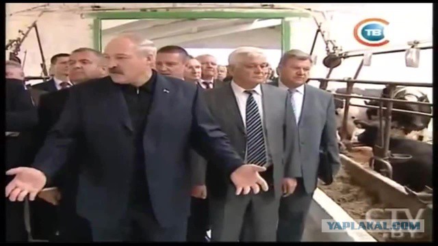 Девушки одетые, нормально зачехленные, но очень сочные