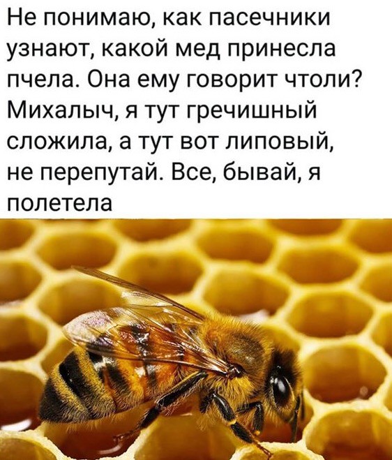 Чуток картинок 08.08.19