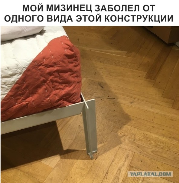 Чуток картинок 11.10.19