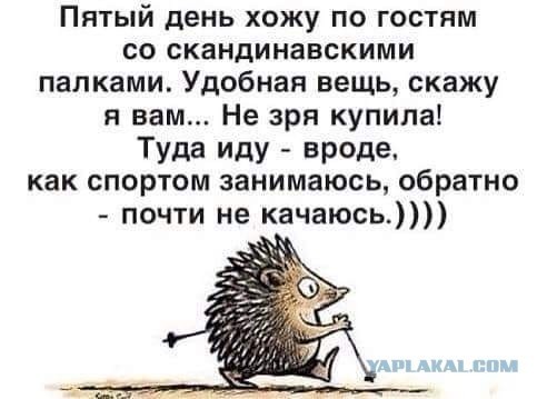 Когда-то повеселило