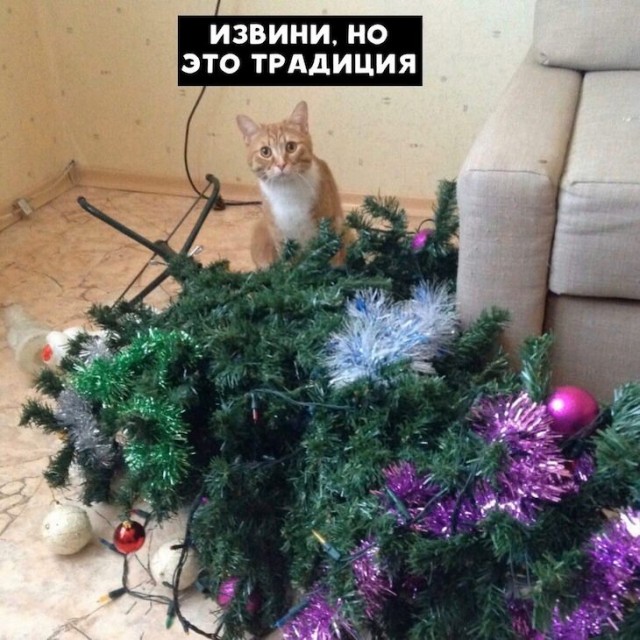Картинки и мемы для настроения