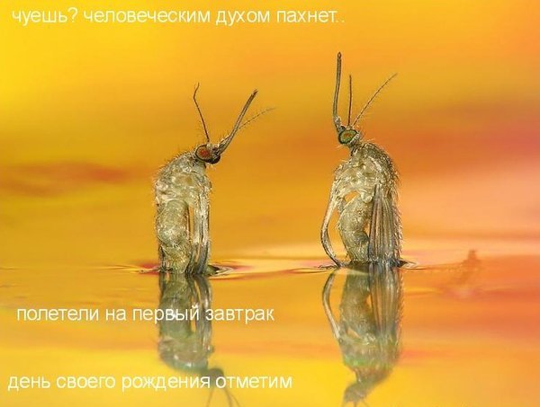Чуток картинок.  Вечерние