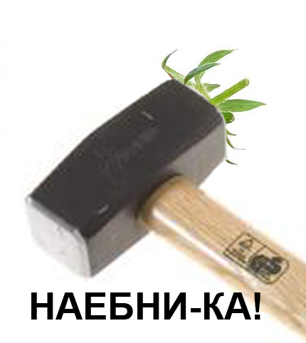Фотожаба: Лето, фрукты, генетика!