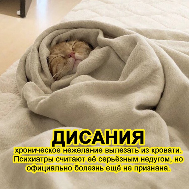 Картинки разнообразные. На злобу дня и на доброту (05.10)