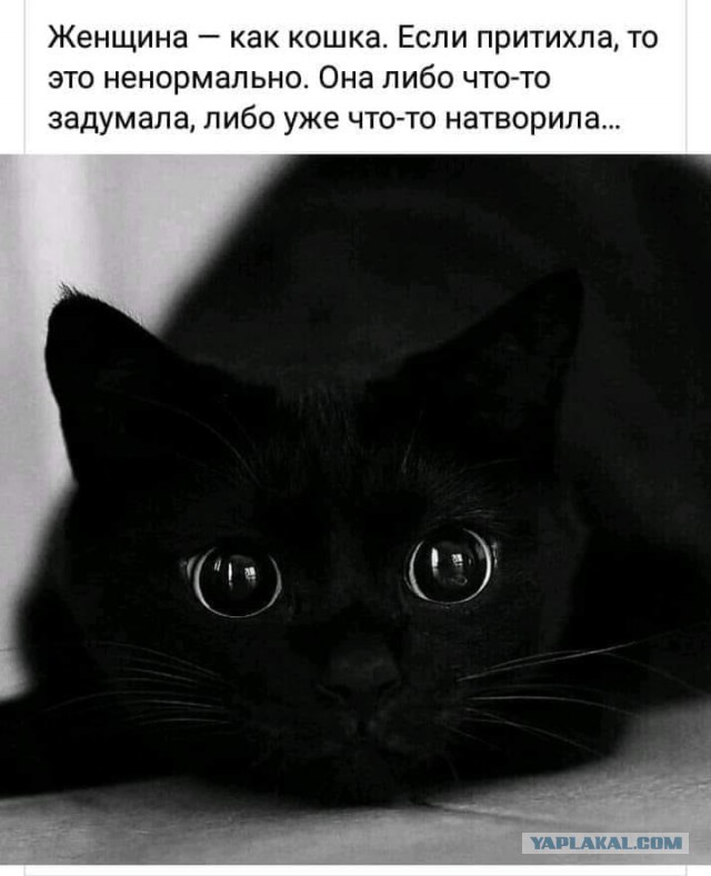 Скандал в очереди. Я склочная баба или паладин  в сверкаюших доспехах?