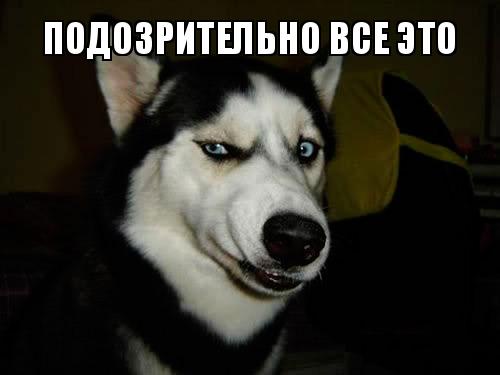 Оперативники из Сургута приняли женщину за закладчицу и избили
