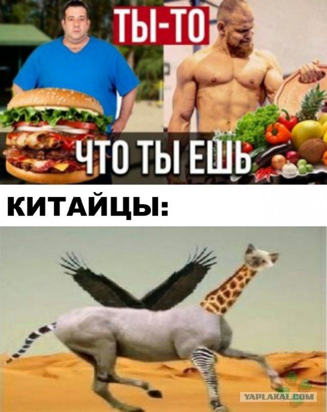 Весёлый полтишок 4.05