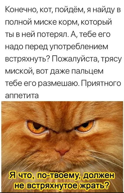 Картинки с надписями и всякие жизненные фразы 6.07.21