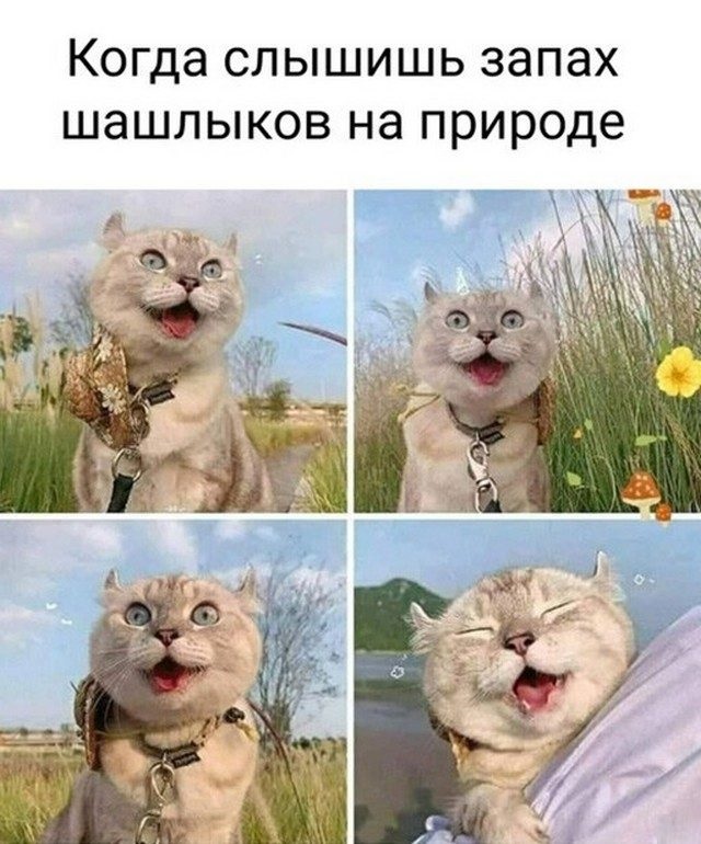 Картинки с надписями и всякие жизненные фразы 10.07.21
