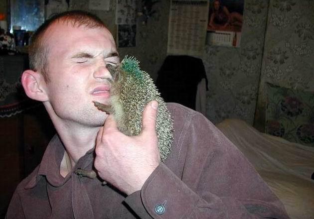 Максимум позитива, хоть и слегка колючего