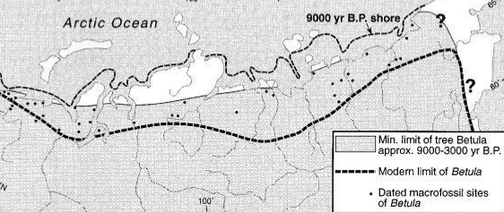 Российские леса постоянно горят, но их биомасса рекордно выросла. Как так вышло и что из этого следует?