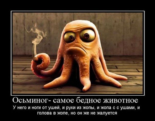 Алкопост 8.10.21