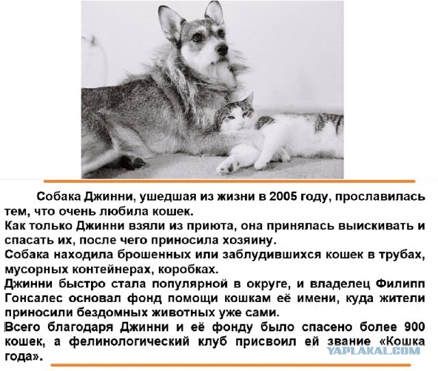 Картинки с надписями и всякие жизненные фразы