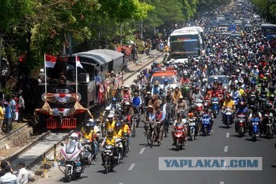 Они живут только 40 лет