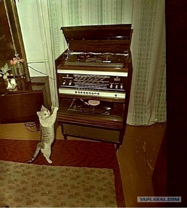 Фотографии из прошлого нашей страны - 21