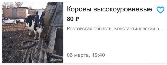 Картинки и мемы для настроения - 187