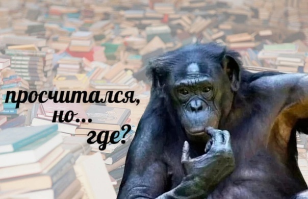 Давайте вы нас сфоткаете на этом айсберге, получится крутое фото!