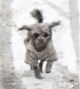 Подборка интересных и веселых картинок 14.02.24