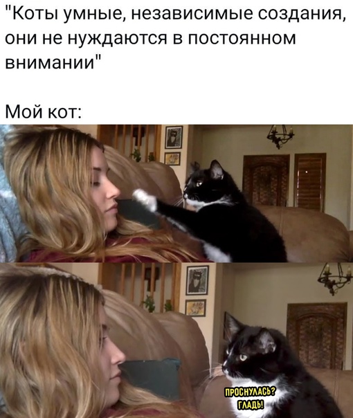 Весёлый полтишок 27.05.24