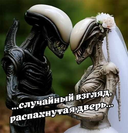 Веселые картинки в понедельник (29.10)