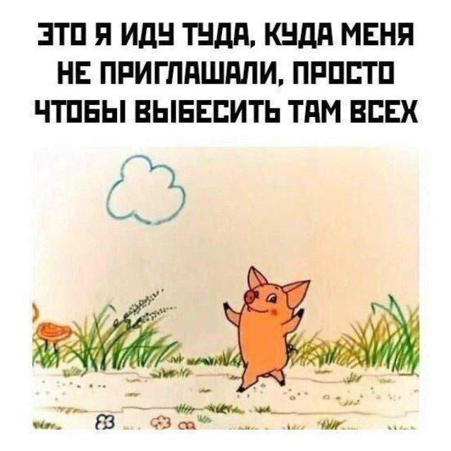 Картинки для деградации 115 (разной степени свежести)