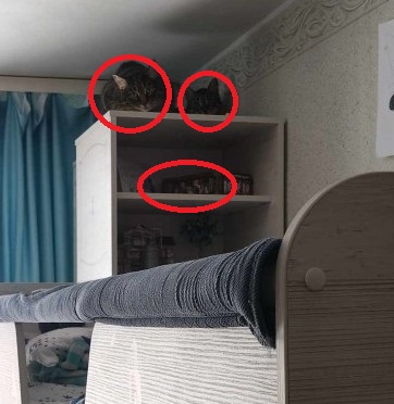 Найди кота