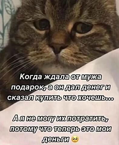 Картинки для деградации 161 (разной степени свежести)