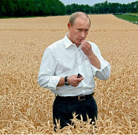 Наполеон всё?