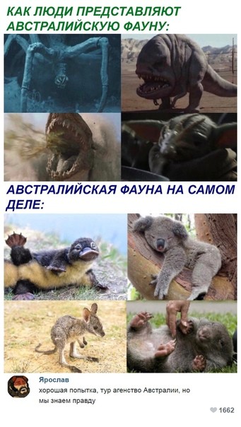 Картинки для деградации 292 (разной степени свежести)