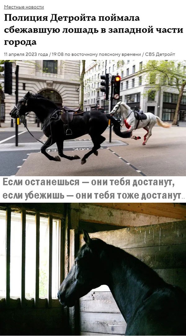 Киберзапугивание на венгерском языке и другие картинки