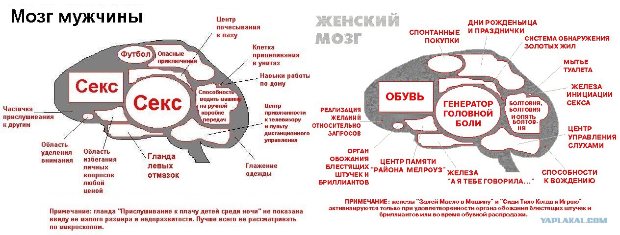 Что Бывает Если Человек Много Дрочит Что Бывает Если Человек Много Дрочит