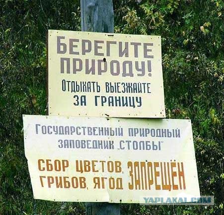 Подборка прикольных фото.