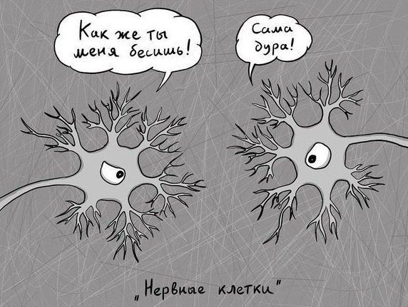 Картинки