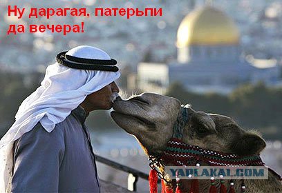 Забавные картинки и комменты из соцсети