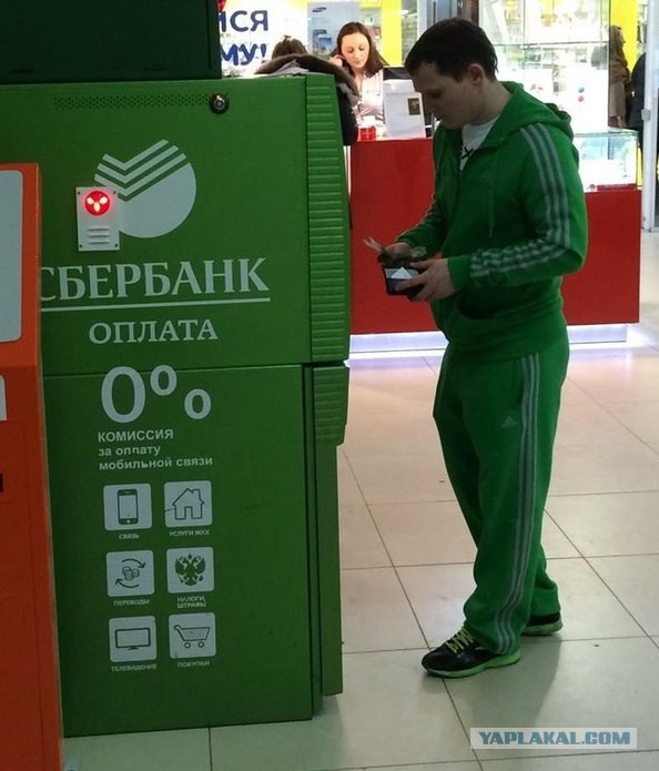 "Сетевой вестник" продолжает беспощадное вещание