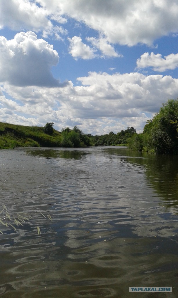 Дело не во мне, а в пескаре