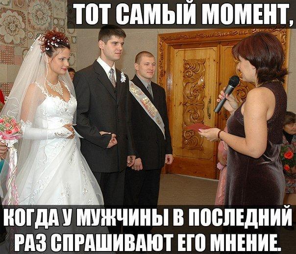 Картинки  из сети