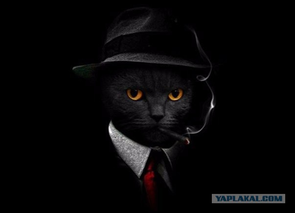 Разные картинки из сети